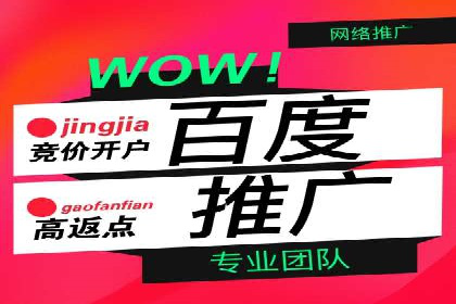 百度推广公司案例分析：精准定位，助力企业精准营销